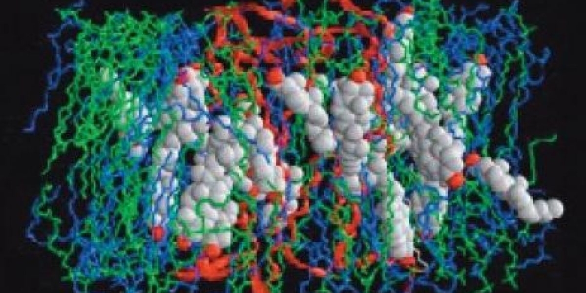 G-Protein Coupled Receptors (GPCRs) Market Share, Size, Latest Trends, Opportunity and Forecast 2024-2032