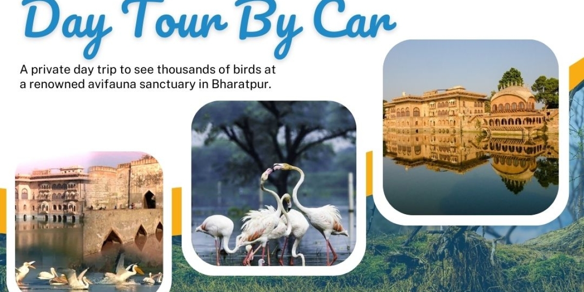 "Bharatpur in a Day: Unveiling Nature's Palette on a Quick Escape from Delhi"