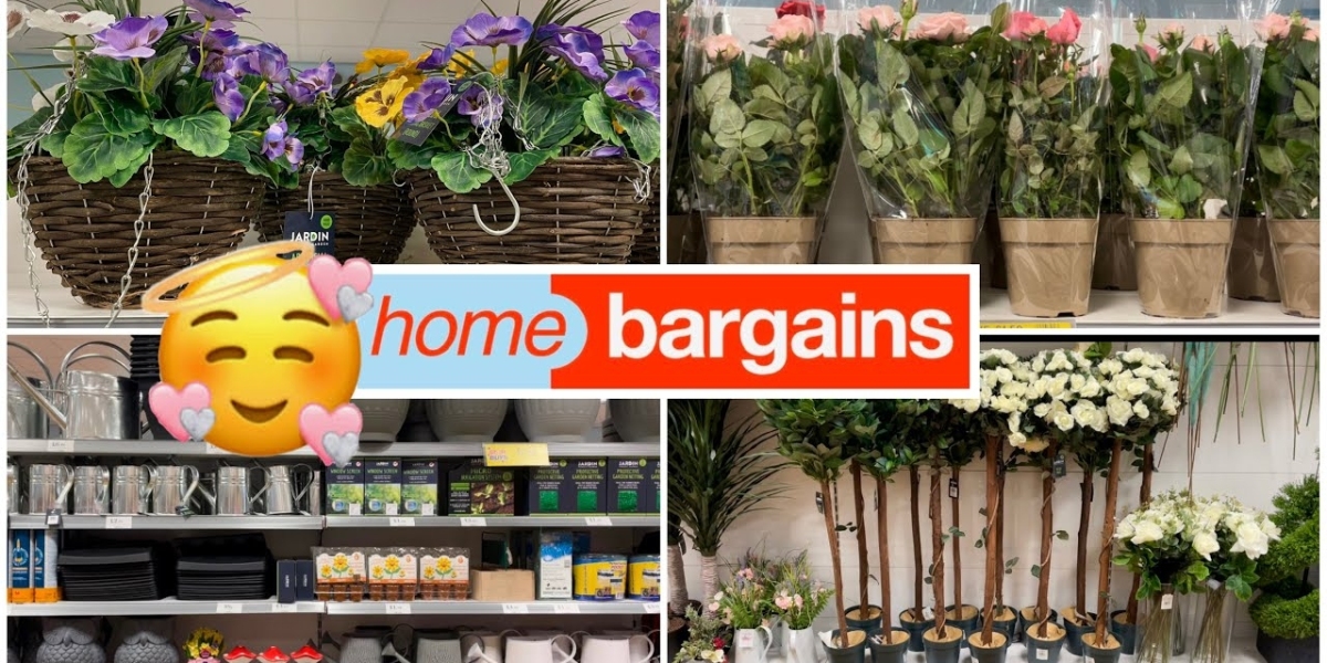 Elevate Your Greenery with Home Bargains Plant Pots