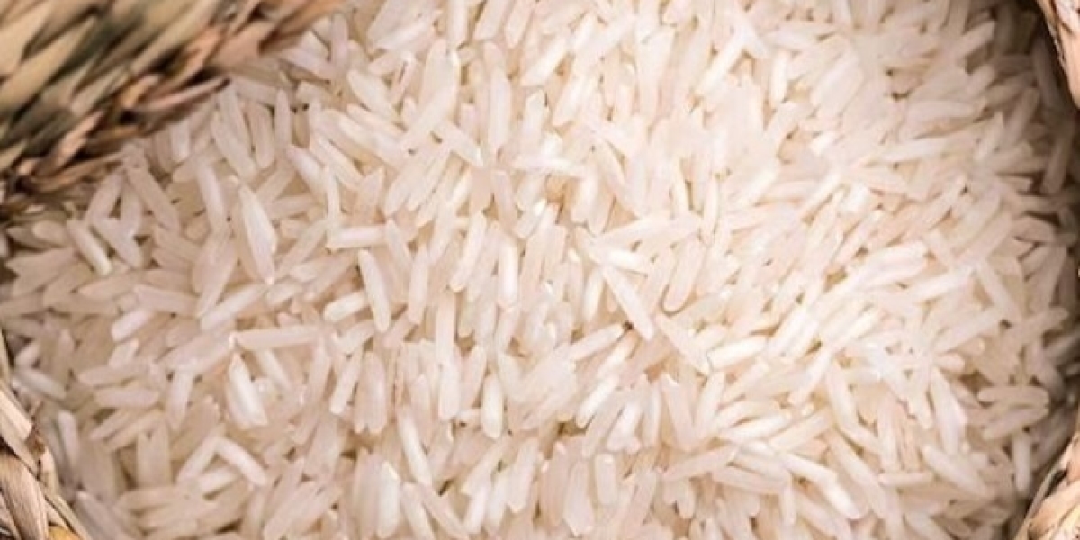 Project Report 2024: Setting up a Rice Processing Plant