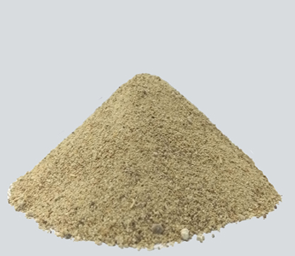 Rice Gluten Meal Manufacturers in India| Prodigy Foods