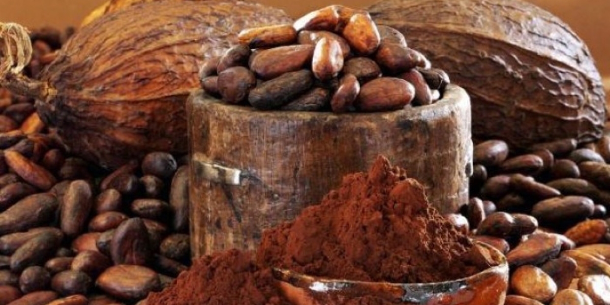 Cocoa Nibs Market Research Growth Report Forecast to 2030
