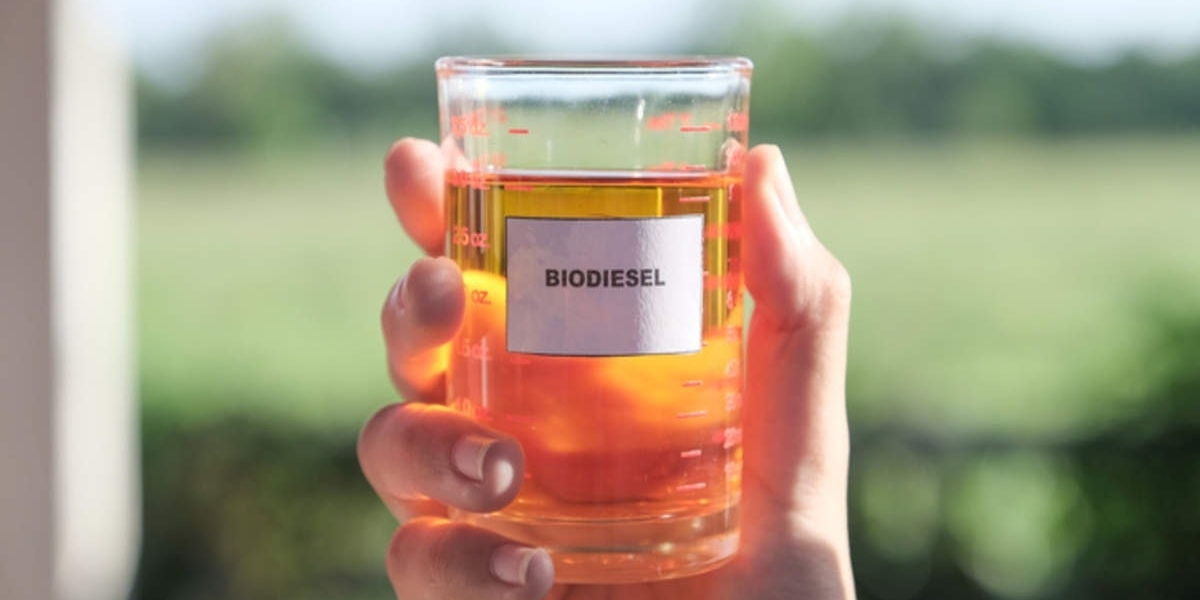 Biodiesel Manufacturing Plant Project Report 2024: Requirements and Cost Involved