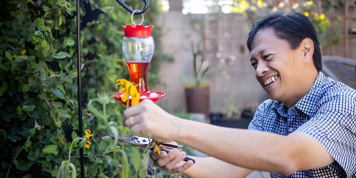 Exploring the Wonders of Backyard Birds: A Symphony of Feathers and Song