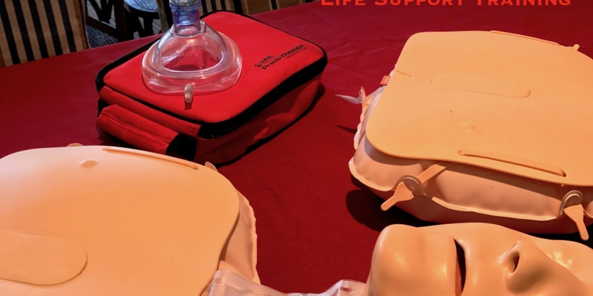 Equipping Julian with Vital Lifesaving Skills CPR and Certification Programs