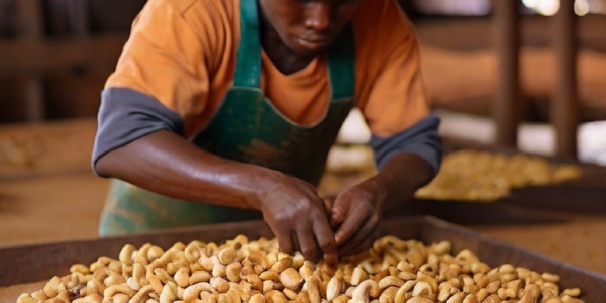 Cashew Processing Plant Project Report 2024: Raw Materials, Investment Opportunities, Cost and Revenue