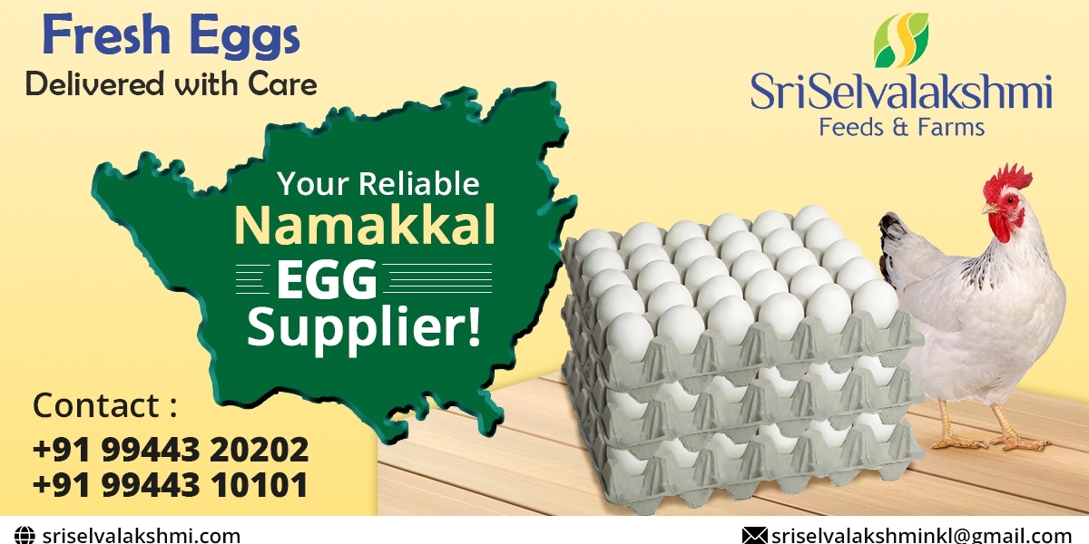 Namakkal Egg Dealer | Sri Selvalakshmi Feeds & Farms