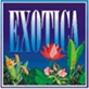 Exoticabeach Cottages Profile Picture