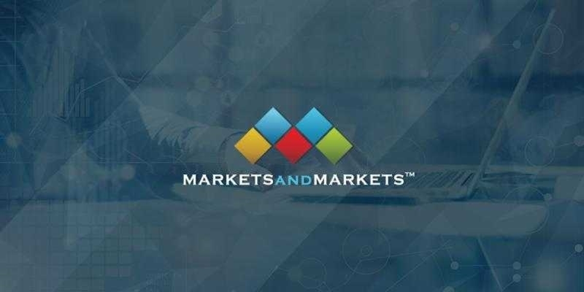 Ultrasound Needle Guides Market worth $369 Million | Revealing Emerging Players with New Data Insights