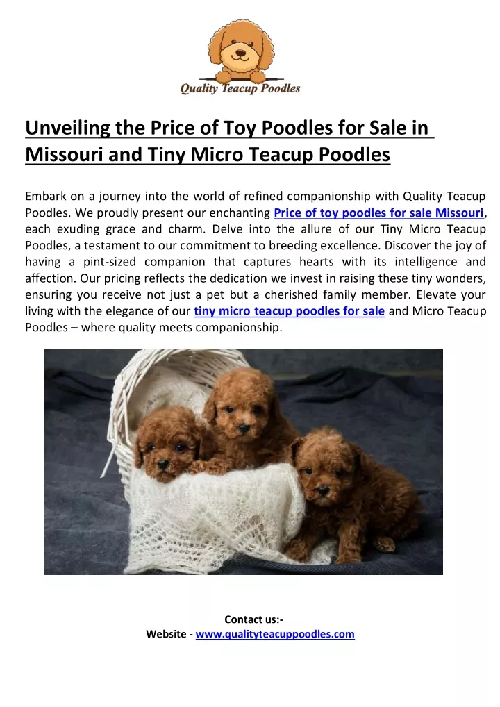 PPT - Unveiling the Price of Toy Poodles for Sale in Missouri PowerPoint Presentation - ID:12789612