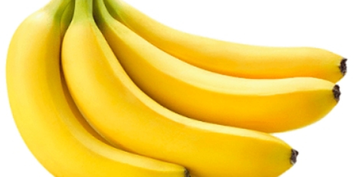 Nurturing Excellence: The Journey of a Premier Banana Export Company
