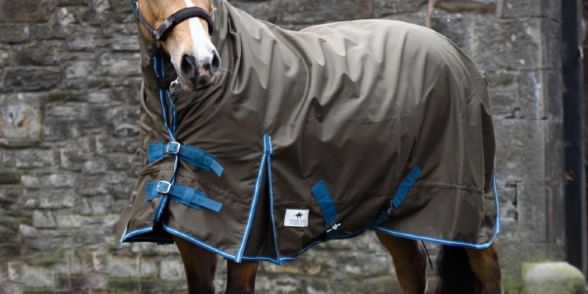 How Do You Know What Rug to Put on Your Horse?