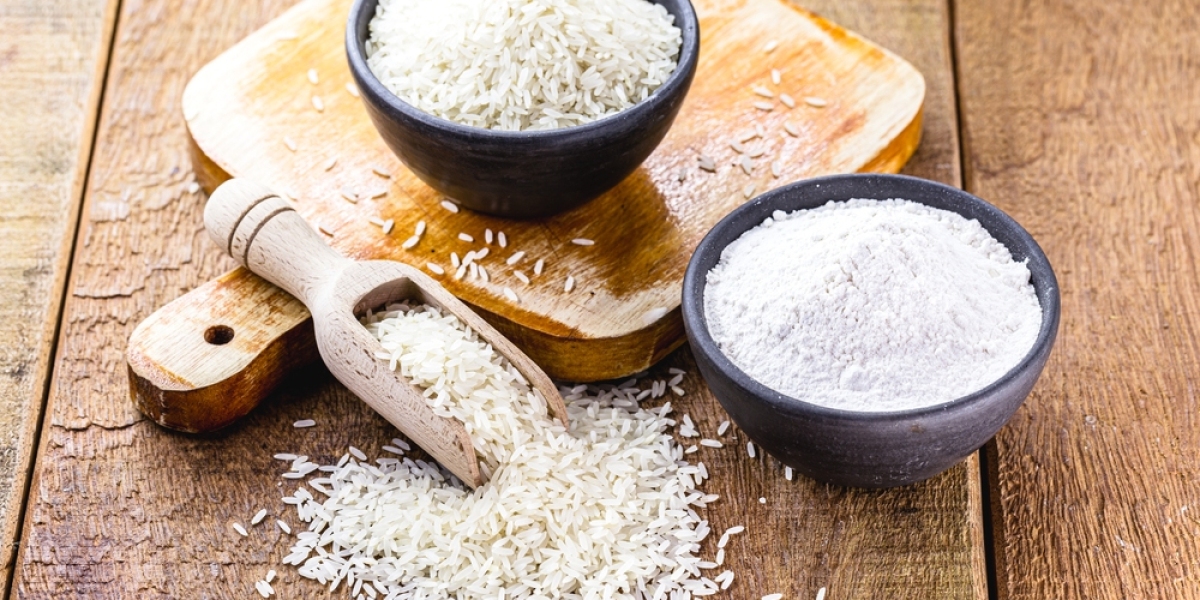 Organic Rice Protein Market Global Trends by Forecast 2031