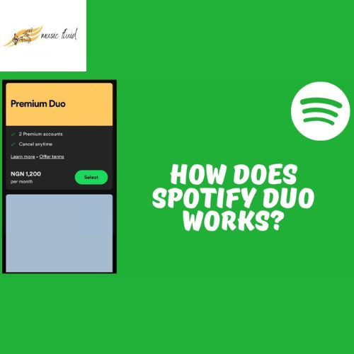 Unveiling Harmony: How Does Spotify Duo Work? – Site Title