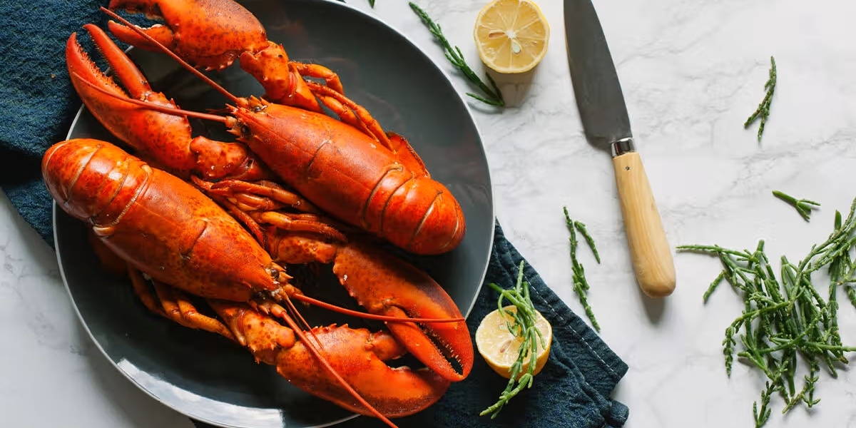 Lobster Market Share, Size, Global Industry Statistics and Latest Insights 2024-2032