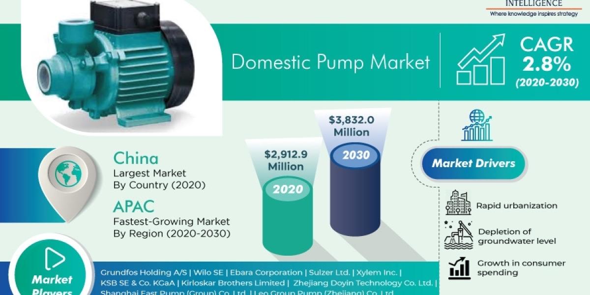 Domestic Pump Market Will Reach USD 3,832 Million by 2030