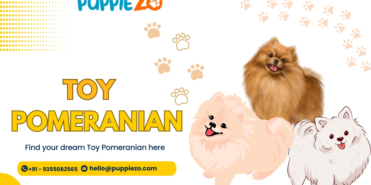 Tips for Caring for Your Teacup Pomeranian – Teacup Pomeranian