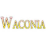 Saint Waconia Profile Picture