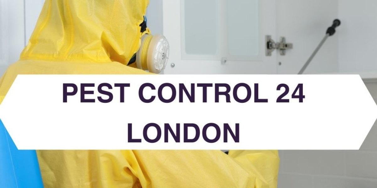 We offer effective solutions for pest control in Fulham.