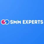 smm experts Profile Picture