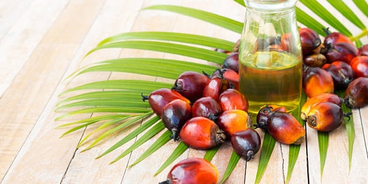 North America & Europe Palm Derivatives Market Growth by Application, Competitor, and Forecast 2028