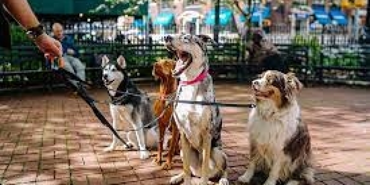 Paws and Play: The Importance of Recreation in Dogs' Lives