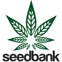 Regular Cannabis Seeds | Non-Feminized Cannabis Seeds For Breeding