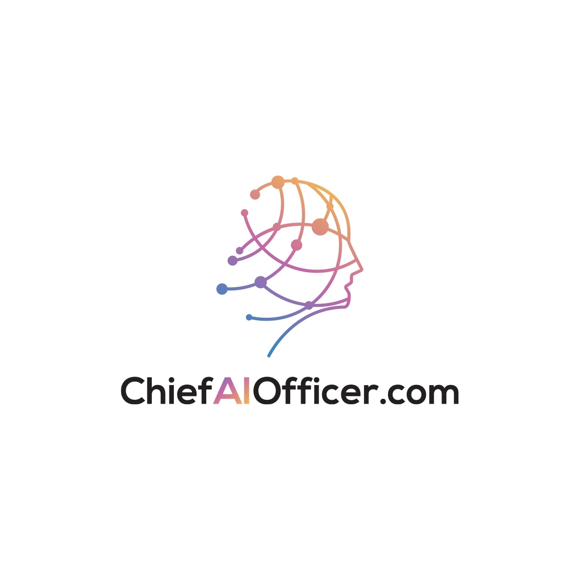 Chief AI Officer Profile Picture