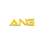 angindustries Profile Picture