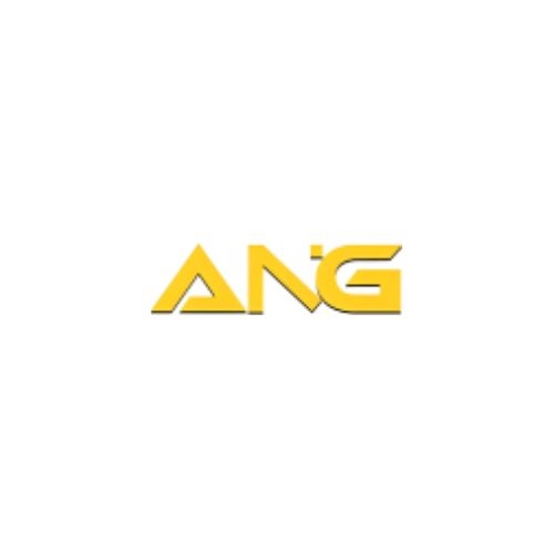 angindustries Profile Picture