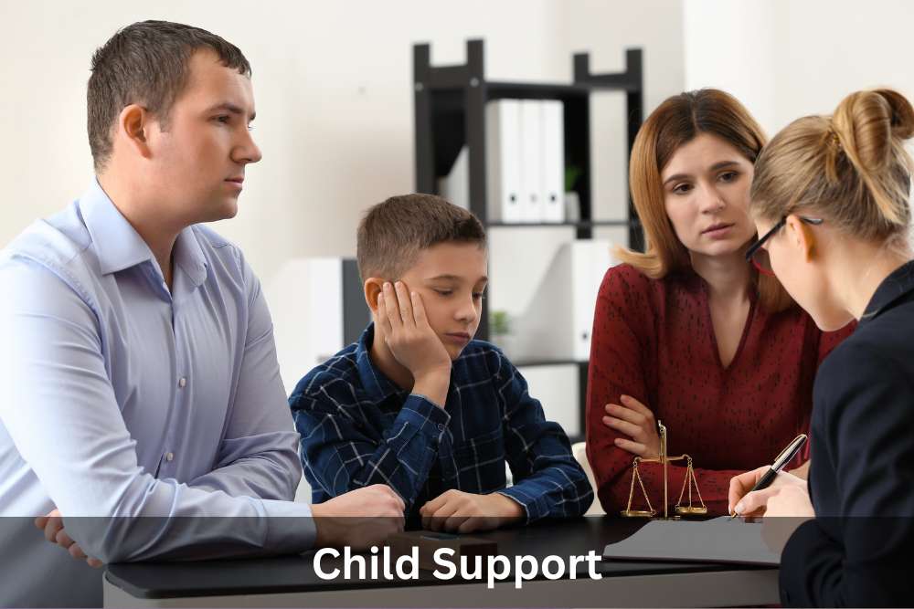 Child Support Lawyer Charlottesville | Child Support Lawyer
