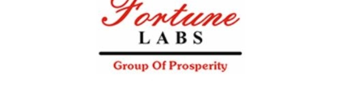 Fortune Labs Cover Image
