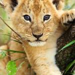 texated profile picture