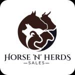 horsen herds Profile Picture