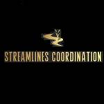 Streamlines Coordination Profile Picture