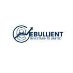 Ebullient Investments Limited Profile Picture