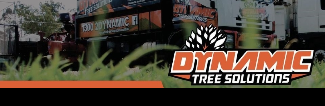 Dynamic Tree Solutions Cover Image