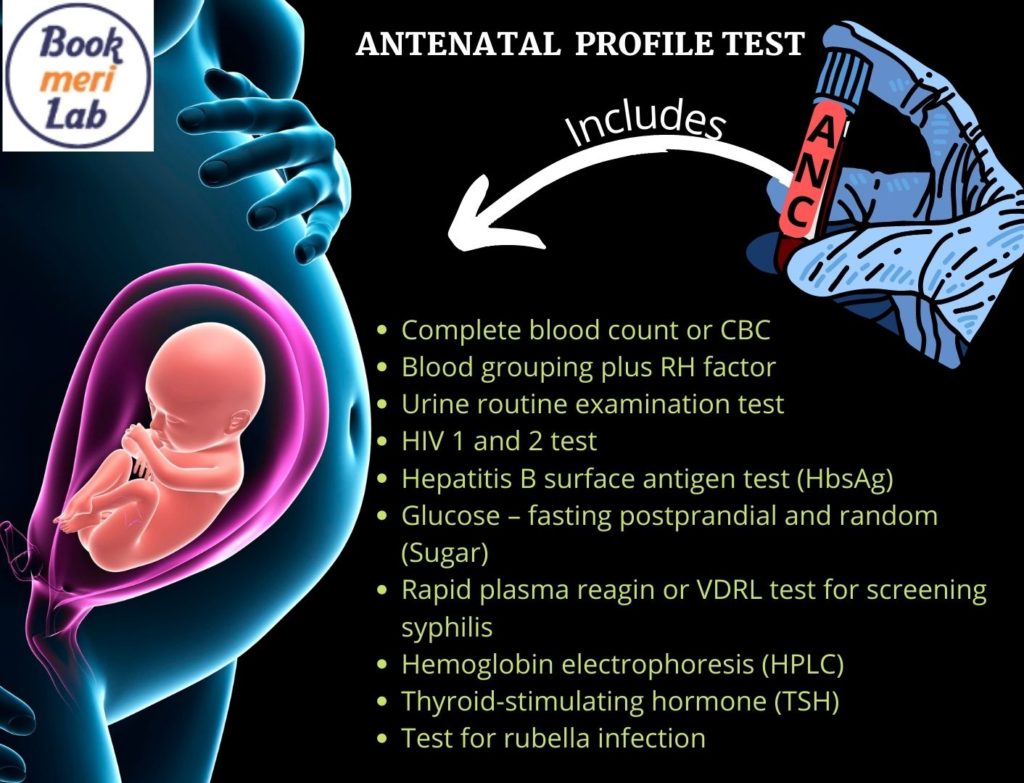 ANC Profile Test During Pregnancy: Price, Purpose & Test List [2024]