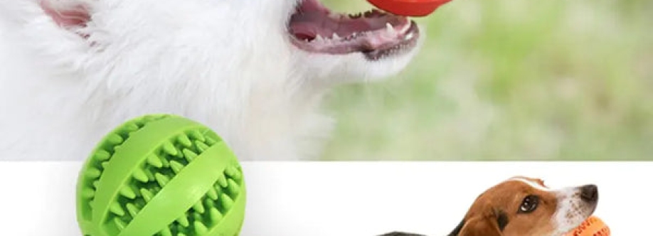 Enrichment pet toys Cover Image