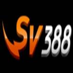 SV388 rsrmm Profile Picture
