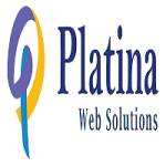 Platina Websolutions Profile Picture