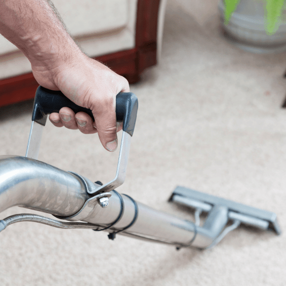 Carpet Cleaning Steyning BN44 | Expert Carpet Cleaners