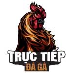 TrucTiepDaGa Profile Picture