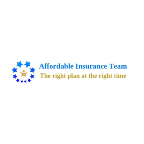 Affordable Insurance Team's Profile | Hackaday.io