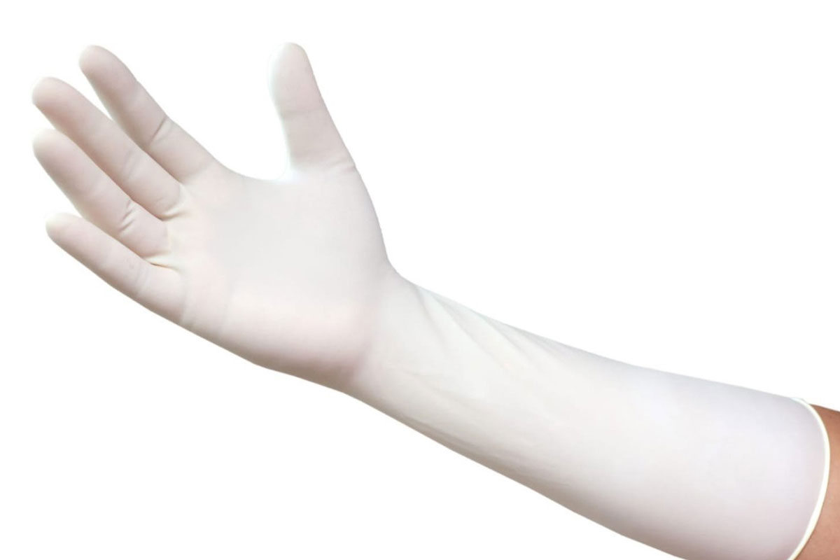 Latex Gloves, Surgical, Gynaecological & Latex Gloves Prices