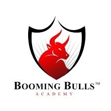 Booming Bulls Academy Profile Picture