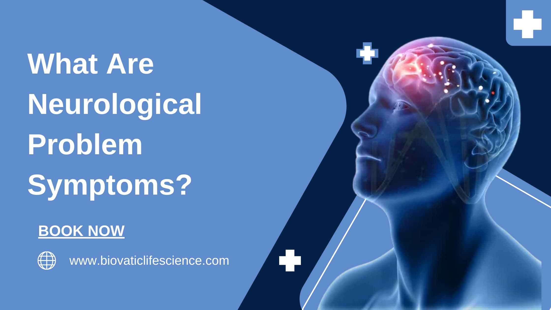 What Are Neurological Problem Symptoms?