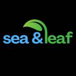 Sea And Leaf Profile Picture