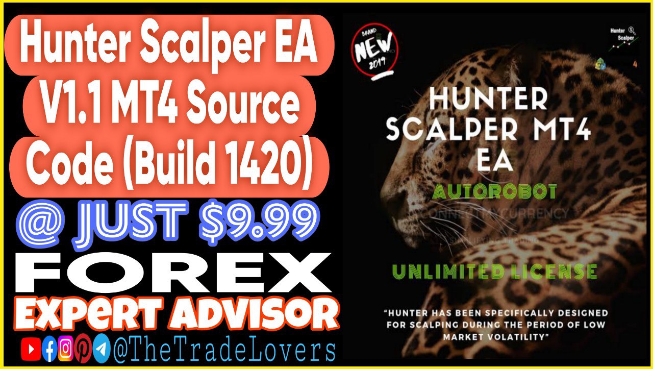 Hunter Scalper EA v1.1 Source Code MQ4 (Works on Build 1420) | Forex Robot | MT4 Expert Advisor - Payhip