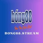 Bong88 Stream Profile Picture